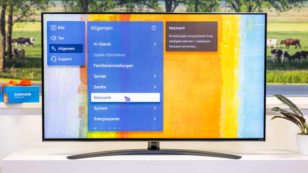 LG internetverbindung