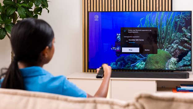 Bluetooth settings TV