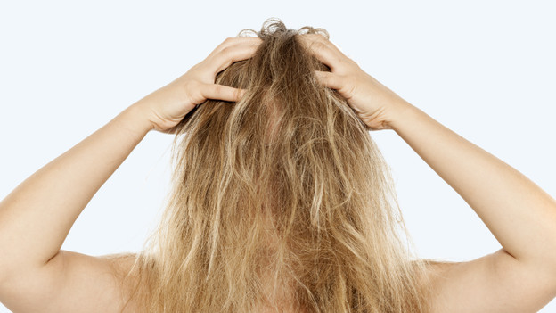 Trockenes, strapaziertes, gefärbtes oder krauses Haar