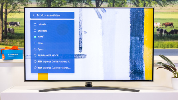 Bildmodus LG