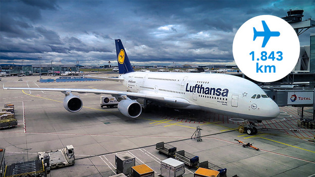 D saves the CO2 emission of a 1843km flight