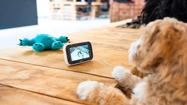 Video baby monitor: large enough for a single-family house