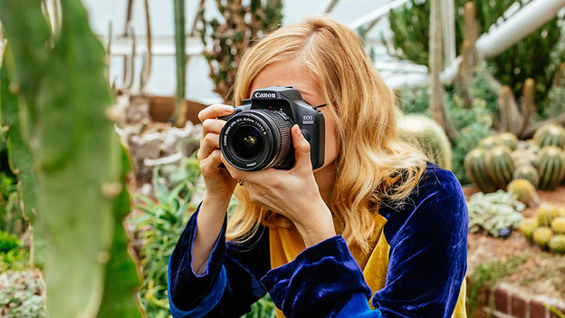 Ist eine Canon-Spiegelreflexkamera einfach zu bedienen?