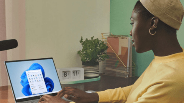 Frau mit HP ProBook und SureView