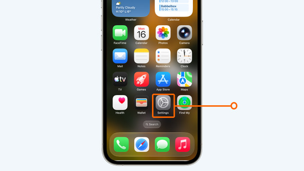 iPhone settings