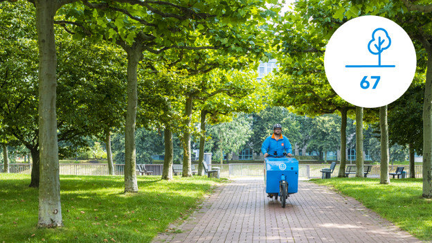 F kostet das Jahreswachstum von 67 Bäumen