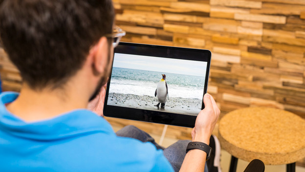 New iPad: sustainable product, original price