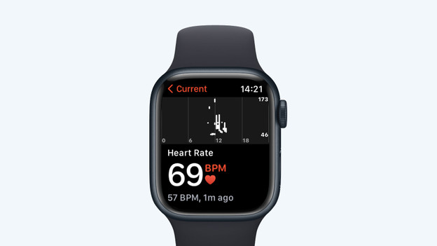 The Apple Watch SE 2023 optical heart rate sensor