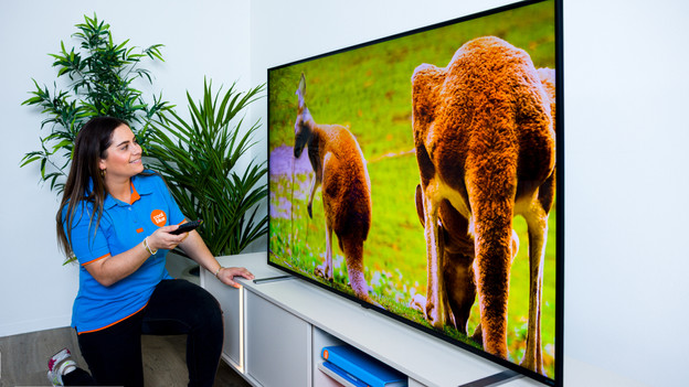 LG-Fernseher wählen