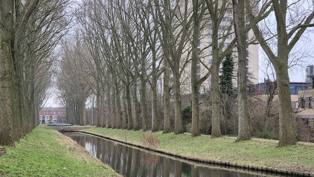 Bewertung des Samsung Galaxy S24