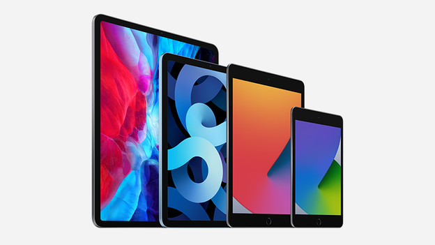 Apple iPad: limited sizes