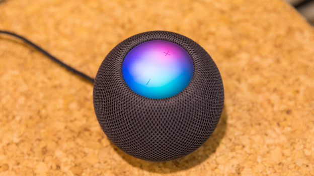 A luminous play of colors is waiting for you