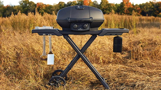 Gewöhnliche Gasgrills