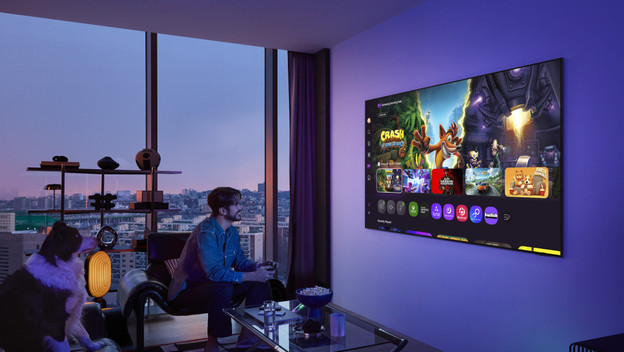 Glare Free OLED-Fernseher Samsung