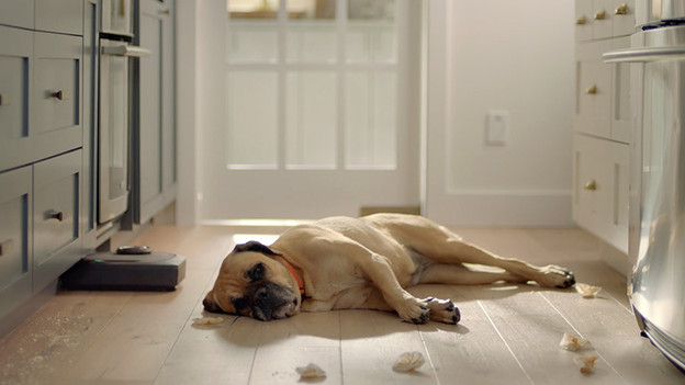 Pets robot vacuum