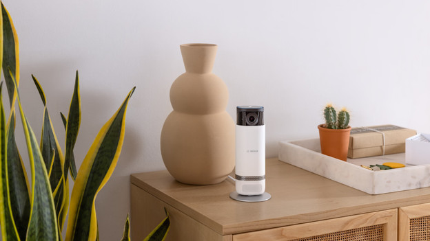 IP cameras