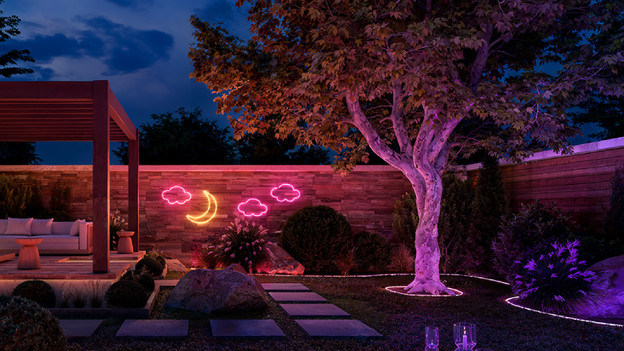 Neon: direktes Licht in jeder Form