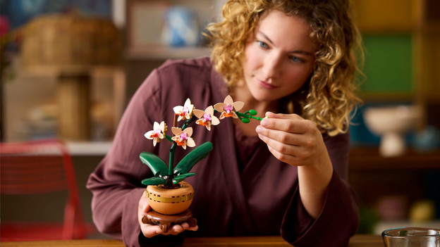 The Botanical Collection