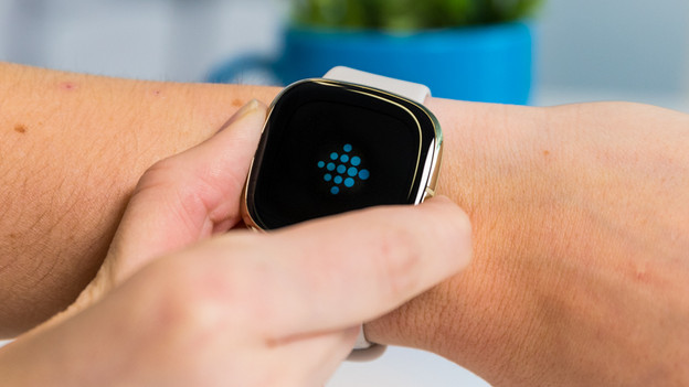 Fitbit black screen reset