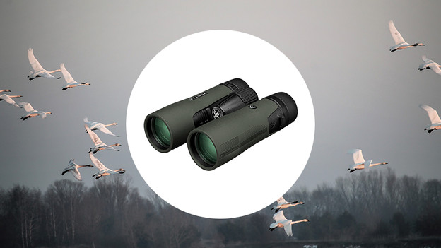 Binoculars for bird watching