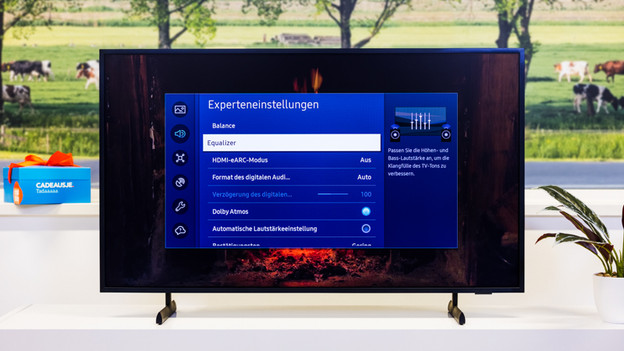 Samsung Ton Experteneinstellungen