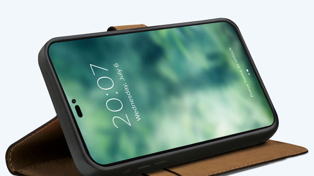 Do you want a leather or plastic case?