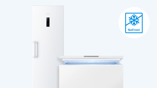 Large upright freezer and large chest freezer