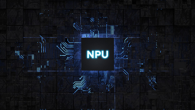NPU
