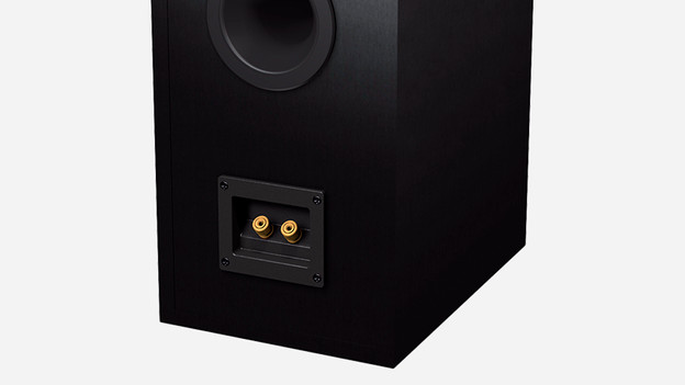 Connect the speaker cable