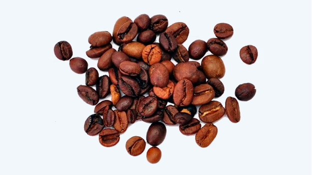 Choose the best coffee beans