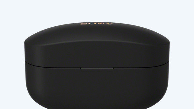 Sony WF-1000XM4: 8 hours