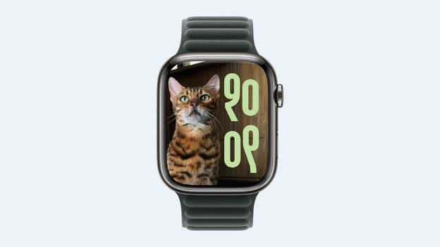 Apple Watch personalisieren