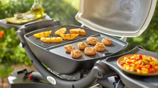 Weber Elektrogrill auswählen