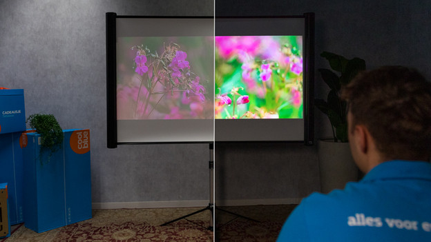 Resolution The Freestyle