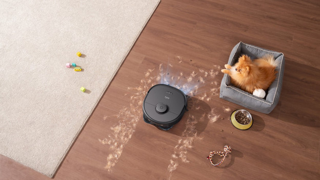 Verfügt der Roboter über eine Tierhaarbürste?