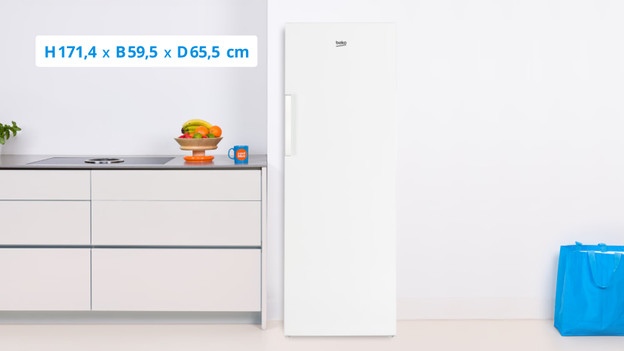 Dimensions single-door fridge