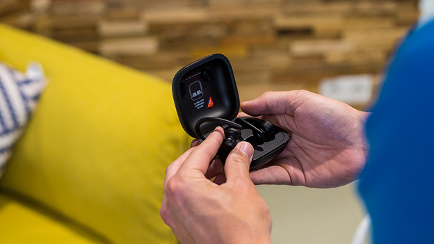 Powerbeats Pro: ear hook