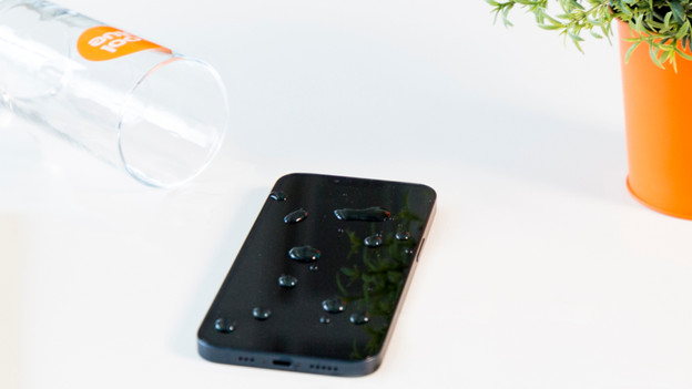 About the Protection Plan