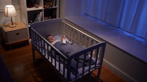 IP camera with 2-way audio