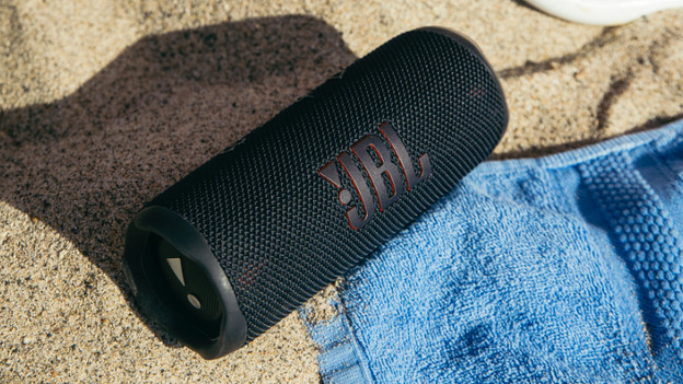 JBL Flip 6: easily