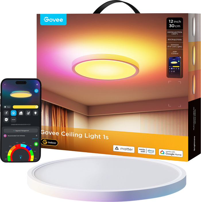 Govee Ceiling Light 12 inches packaging