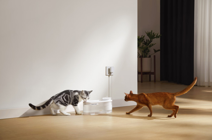 Mova Trinkbrunnen WF10 Pro Weiß visueller lieferant