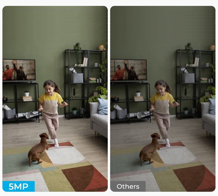 Reolink E331 visual supplier