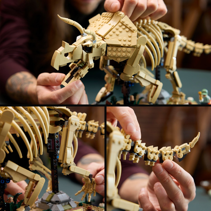 LEGO Jurassic World Dinosaur Fossils Triceratops 77985 product in use