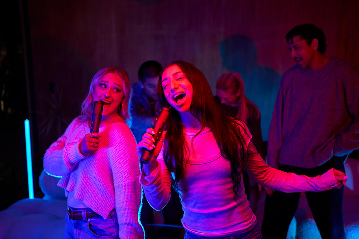 JBL Easysing MIC Schwarz visueller lieferant