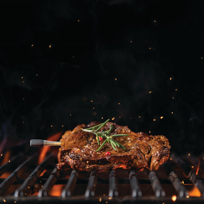 Ninja ProChef WP100EU product in use