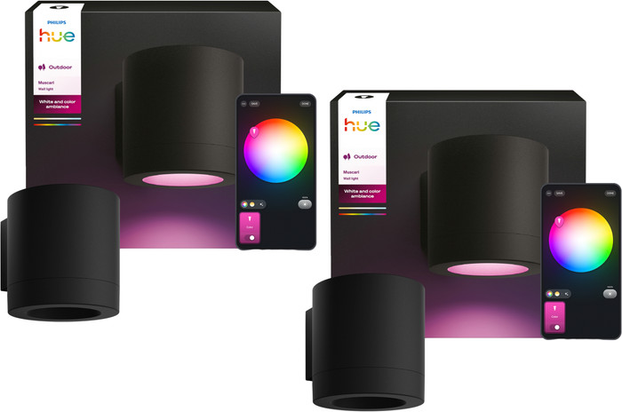 Philips Hue Muscari Wandstrahler Außenbereich Doppelpack Main Image