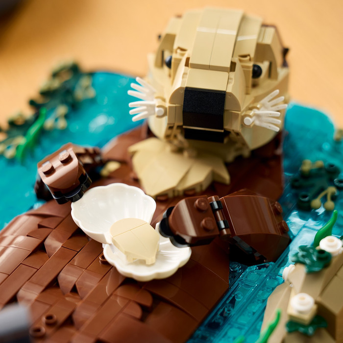 LEGO Ideas Treibende Otter 21366 produkt in gebrauch