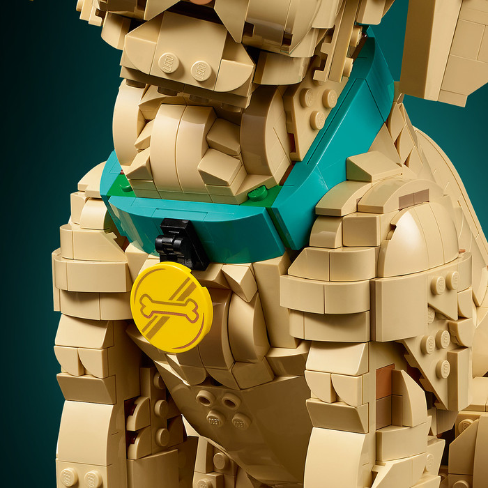 LEGO Icons Golden Retriever Welpe 11384 produkt in gebrauch