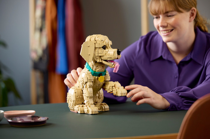 LEGO Icons Golden Retriever Welpe 11384 produkt in gebrauch